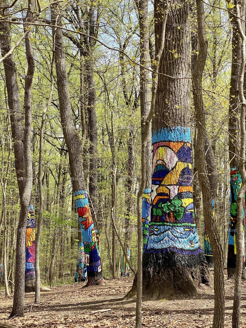 Painted tree trunks in a forest