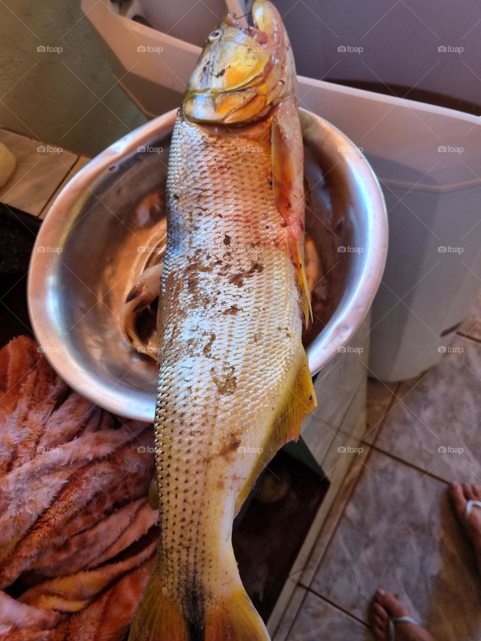 Peixe