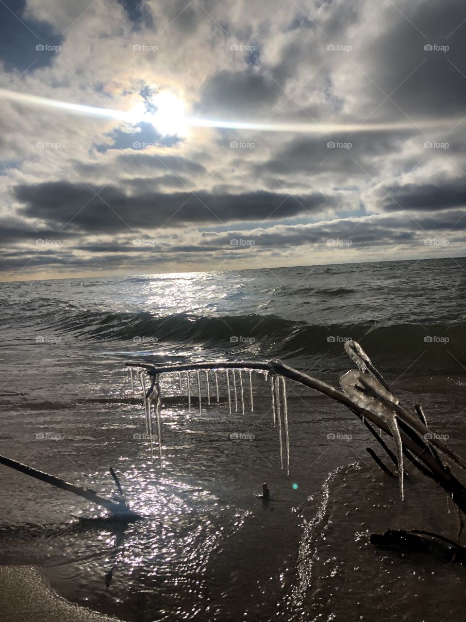 Frozen branch at Lake Michigan