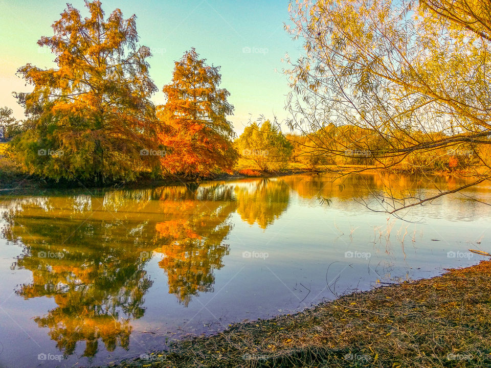 Fall trees reflected in a pond glorious mother nature