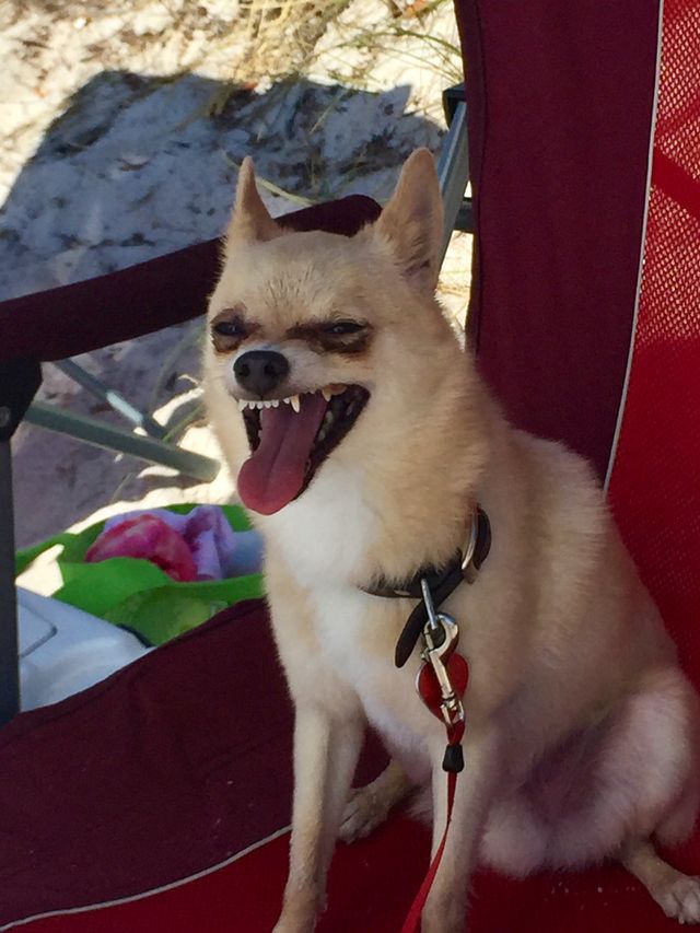 Happy Beach Day