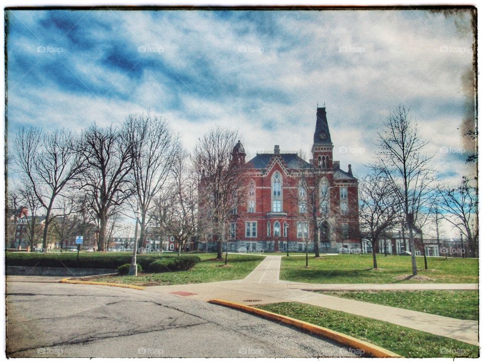 Street, Architecture, Building, Park, Tree