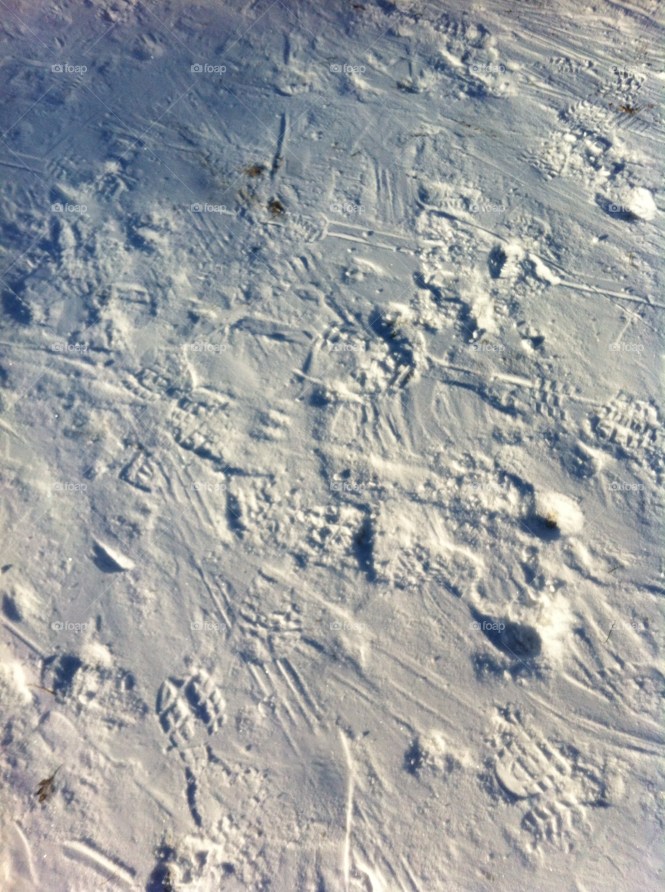 snow winter by sommar06