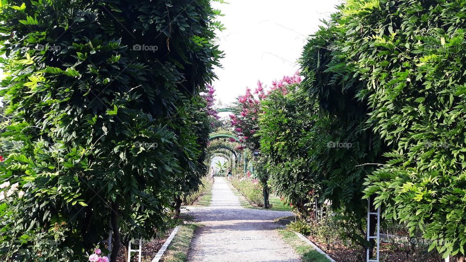 Collecting Memories dhanssen