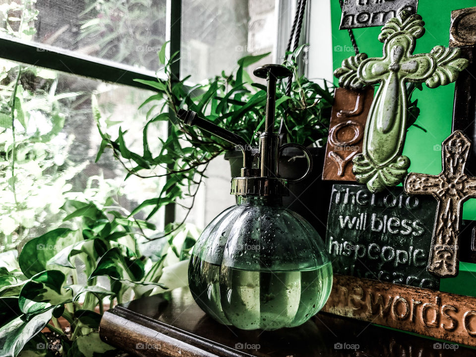 Green plant mister on a wood table next to plants and window