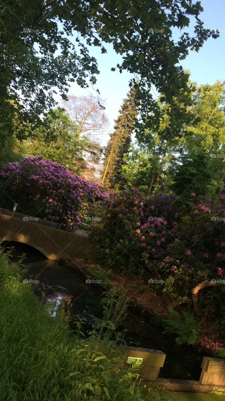 Nature