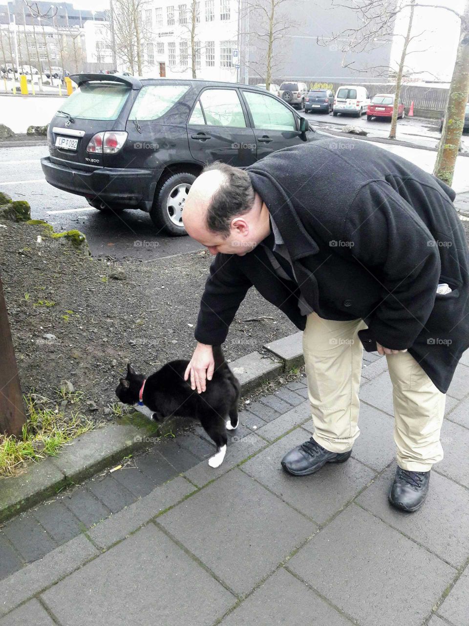 Man petting cat