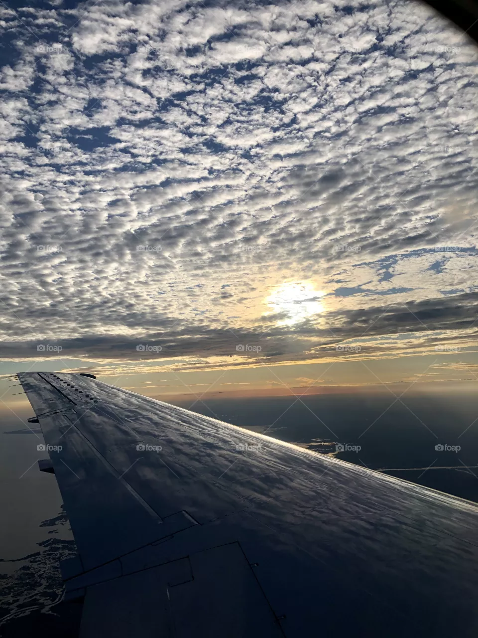 Flying high 