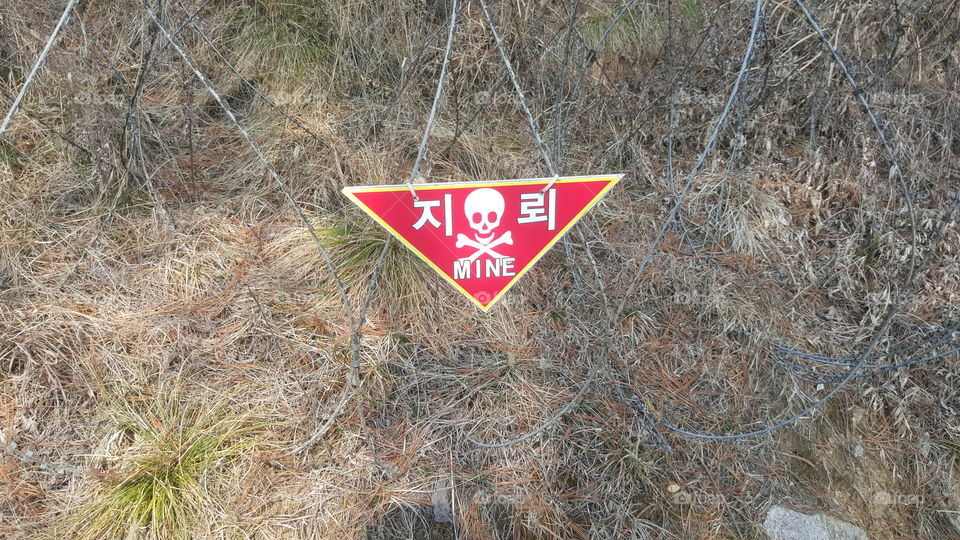 Mine field at the South Korean DMZ.