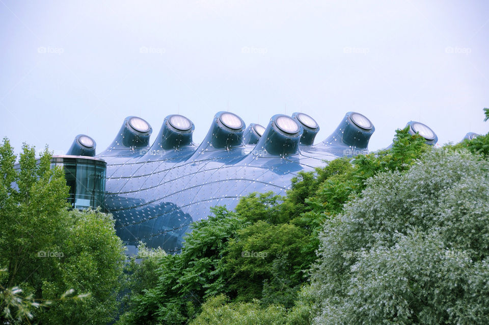 travel summer trees modern by hexoic