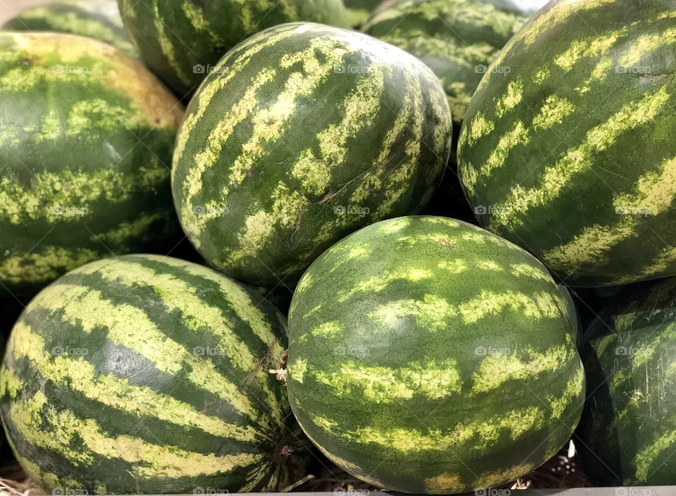 Watermelon
