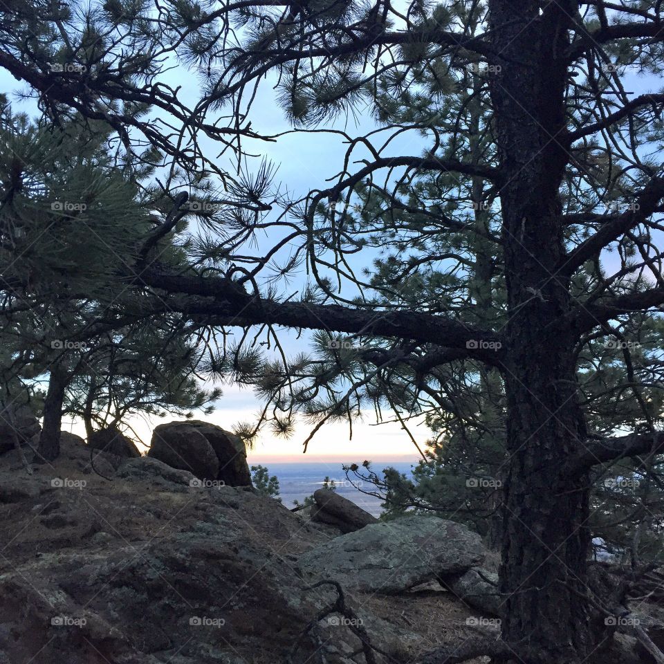 Back into the mountains of Colorado this morning for a run 