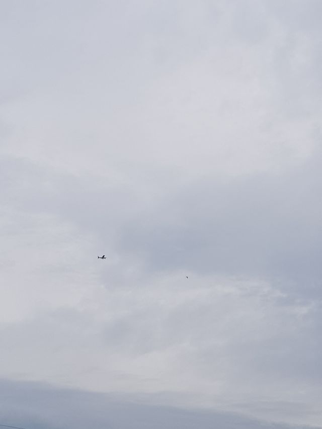 a plane in the sky