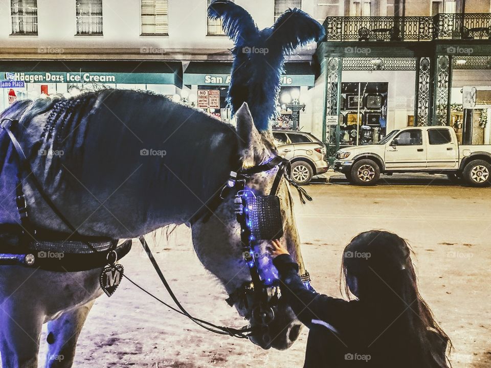 Young girl petting a white horse