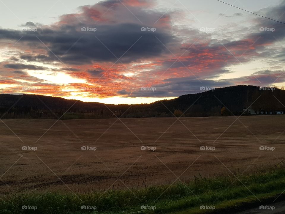 picture of a sunset with a field in front