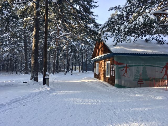 Nature, snow