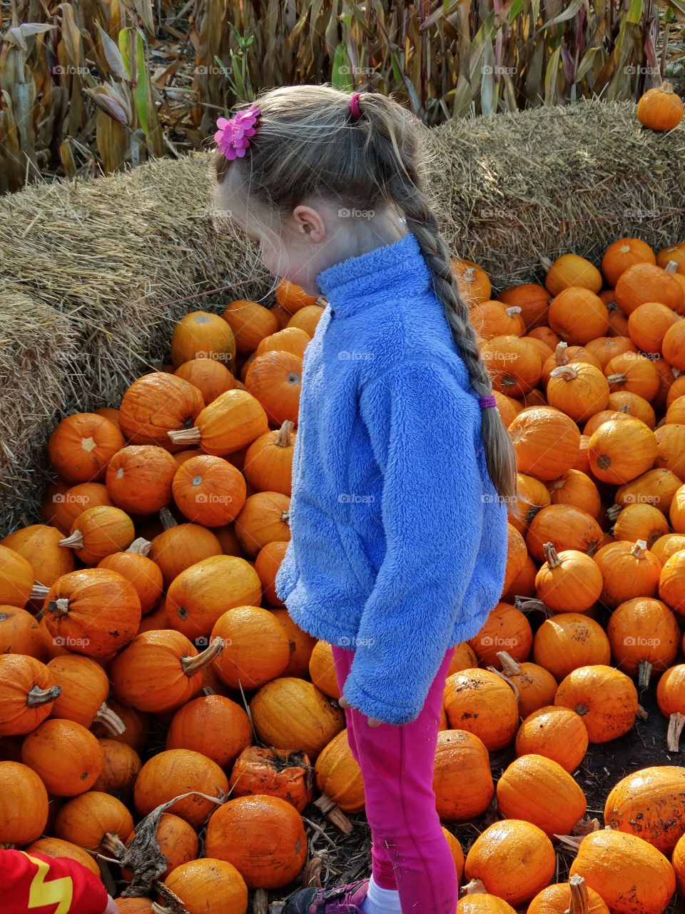 Young Girl In The Pumpkin Patch

