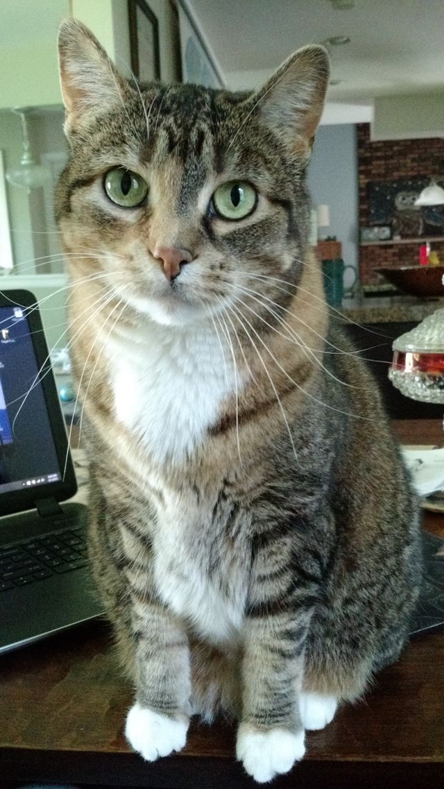 feed me