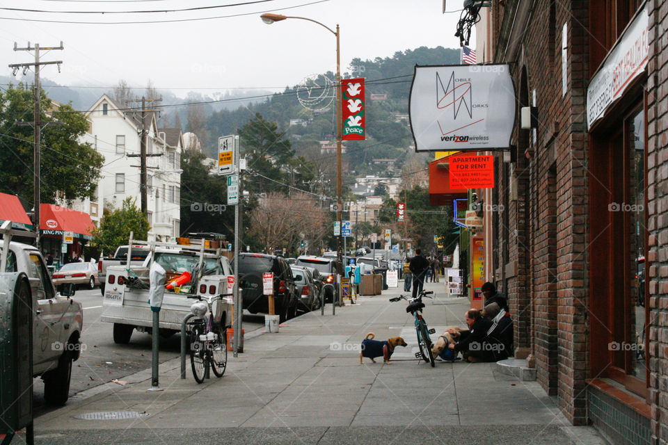 Street, homeless people, dogs