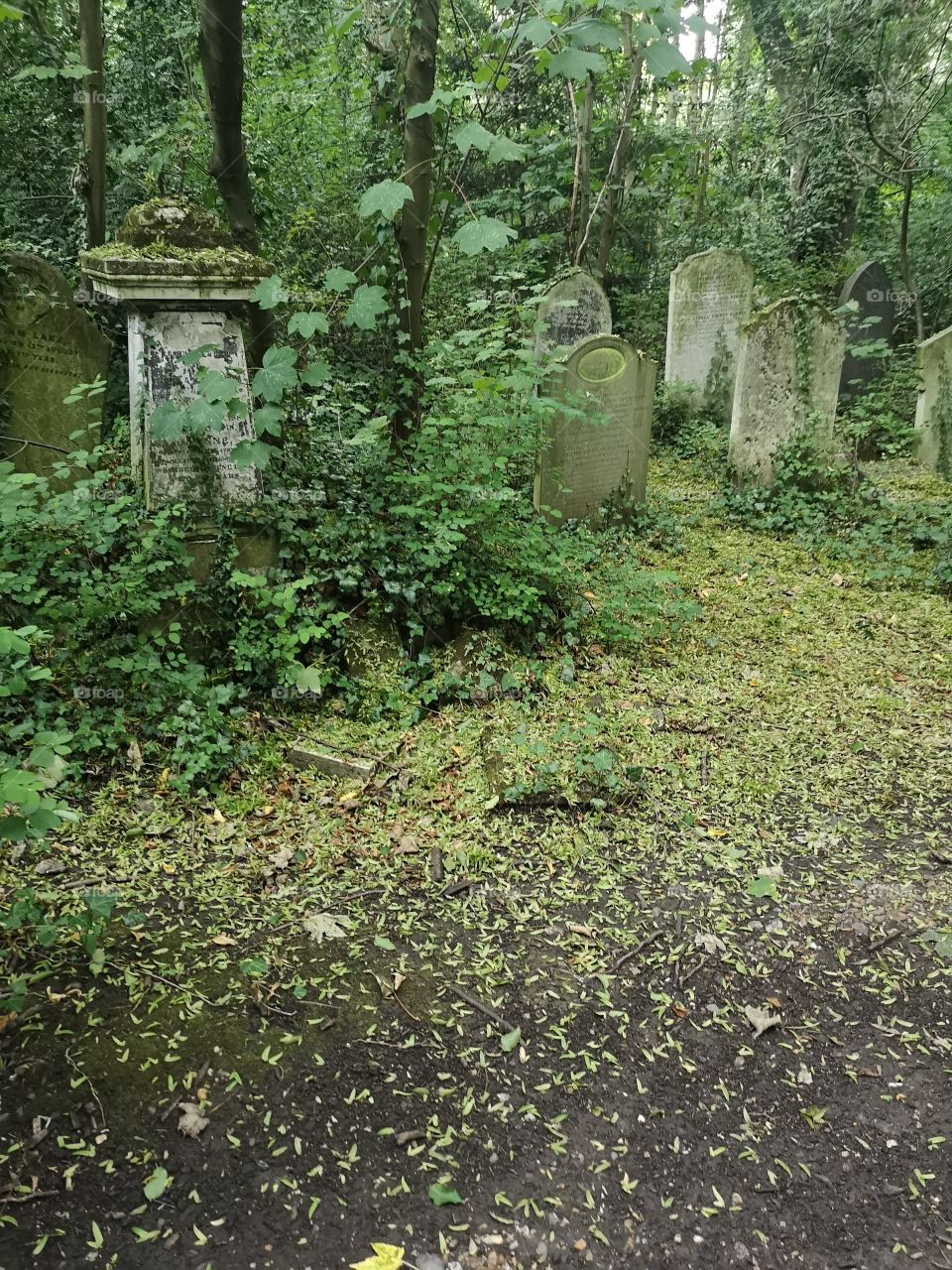 Forgotten Graves
