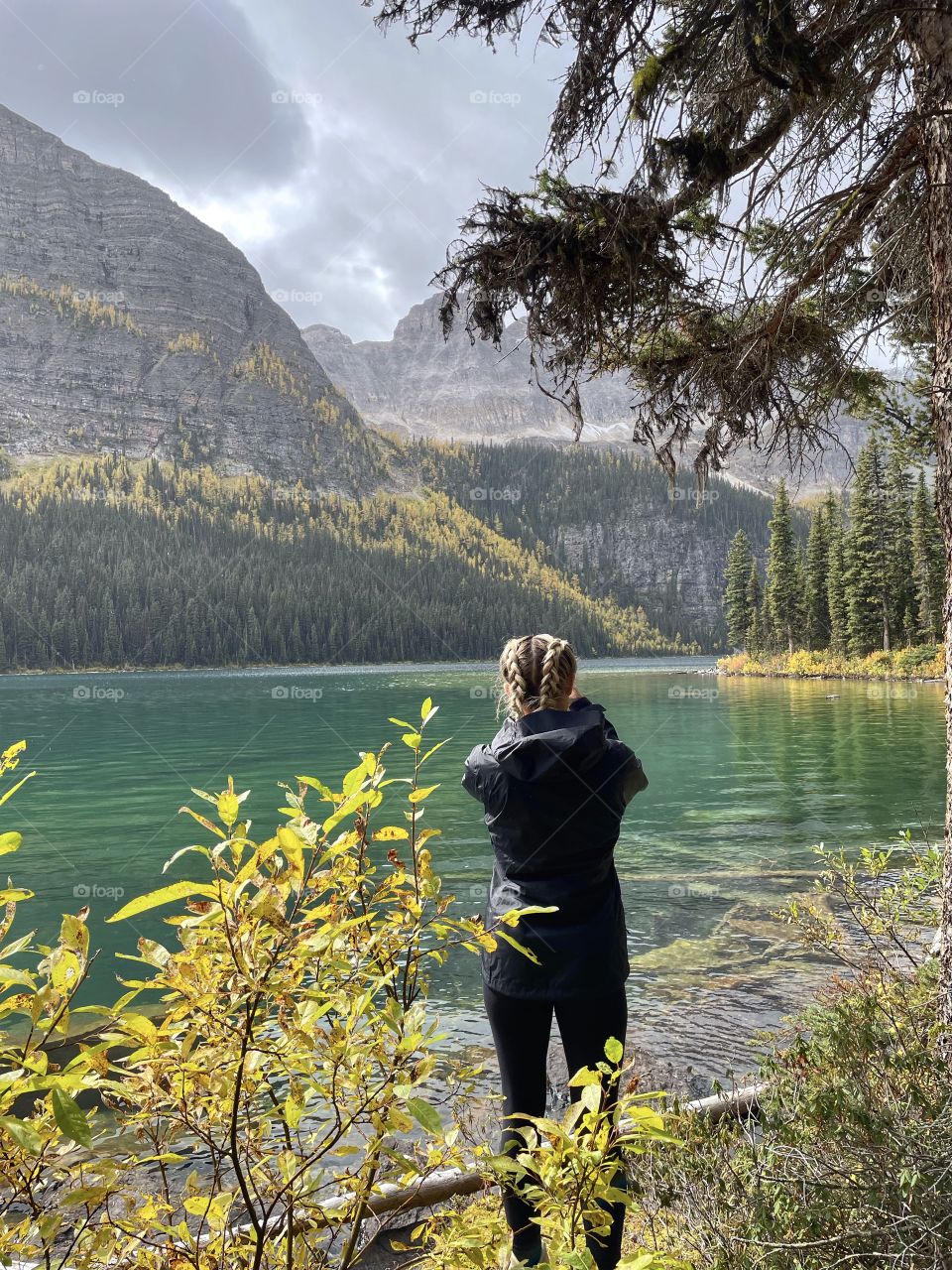 Capturing the golden autumn landscape 