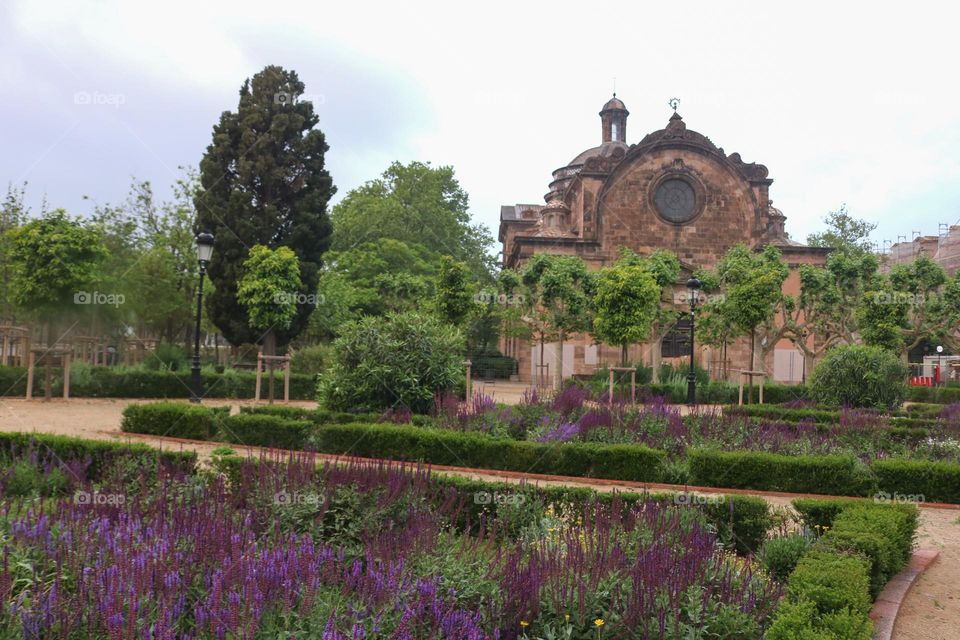Architecture and plants