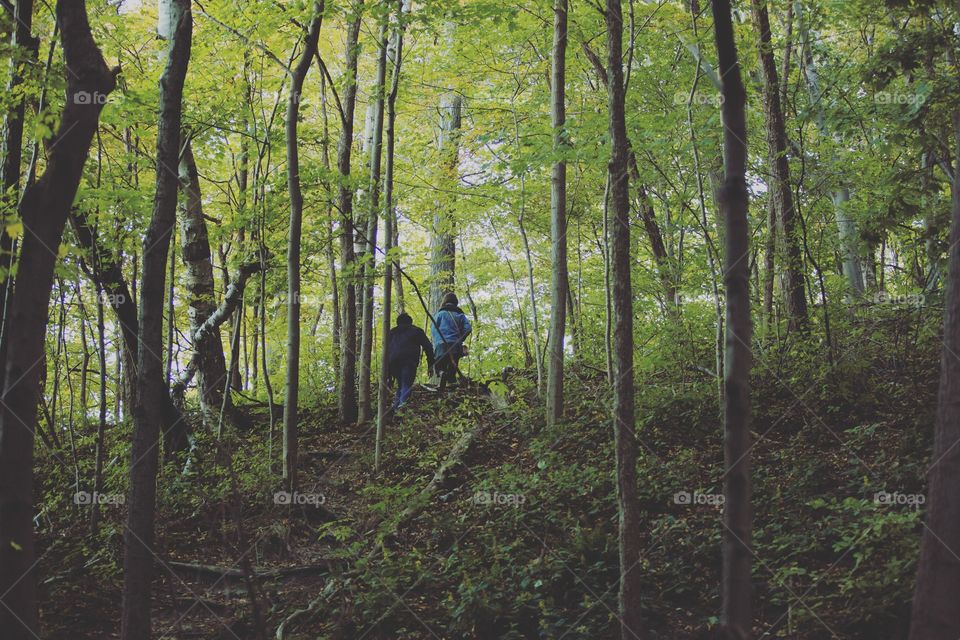 A couple walking through a forest together