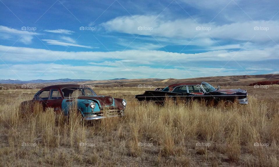 Abandoned Vintage Autos