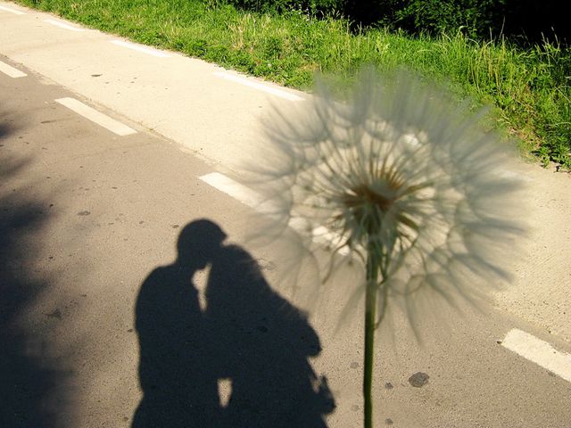 Shadows