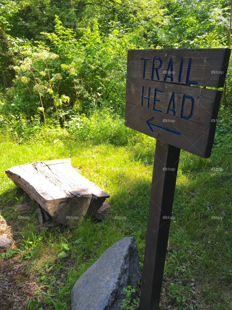 Trail Head Sign