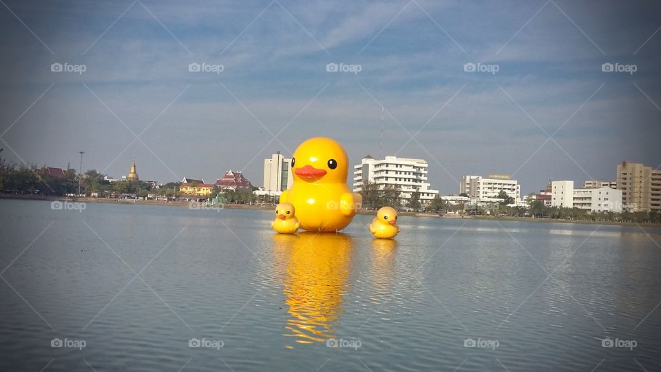 The Yellow Duck in the park