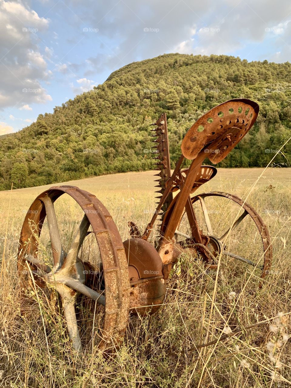 Old agricultural tool abandoned in the beautiful Umbrian countryside, near Spoleto