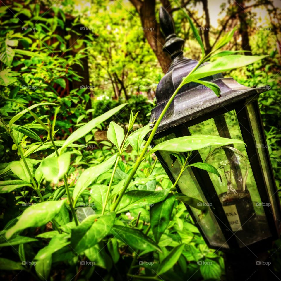 Fairytale is beginning ~