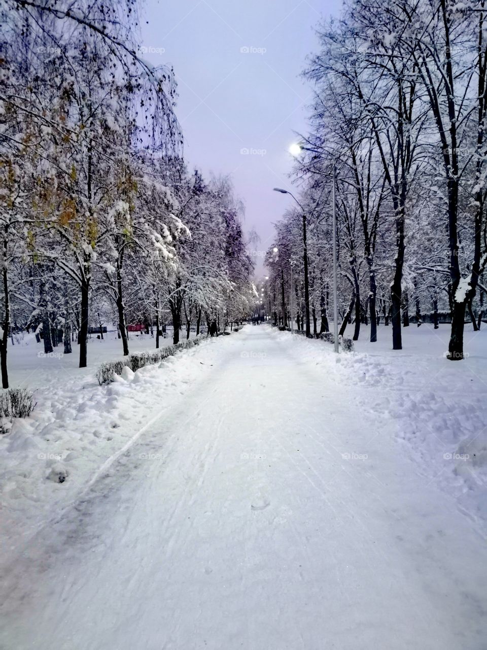 Winter parc