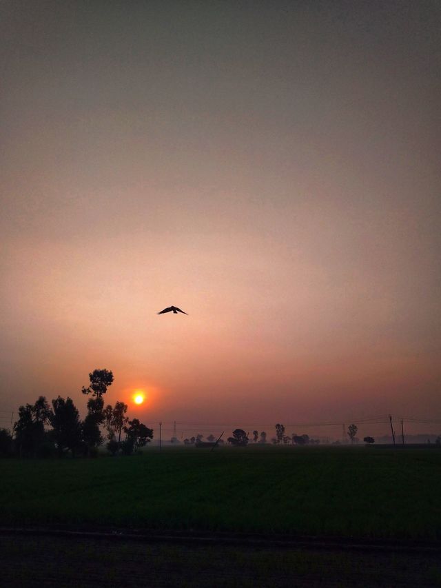 Sunset
