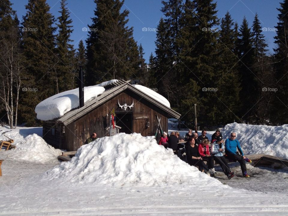 Waffles house skiing