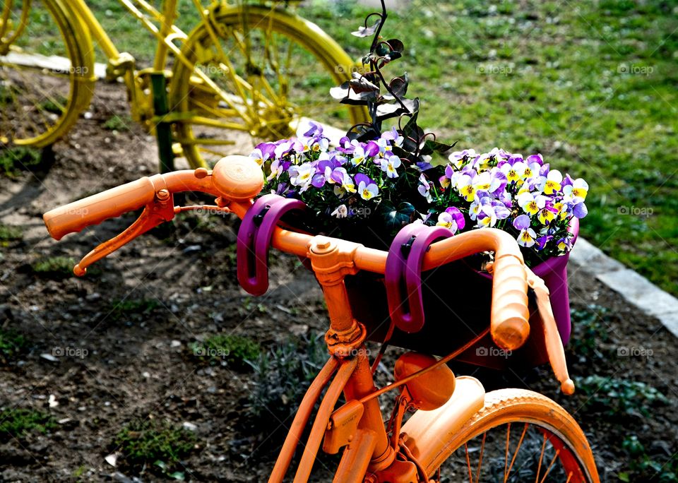 First signs of spring! Biking time.