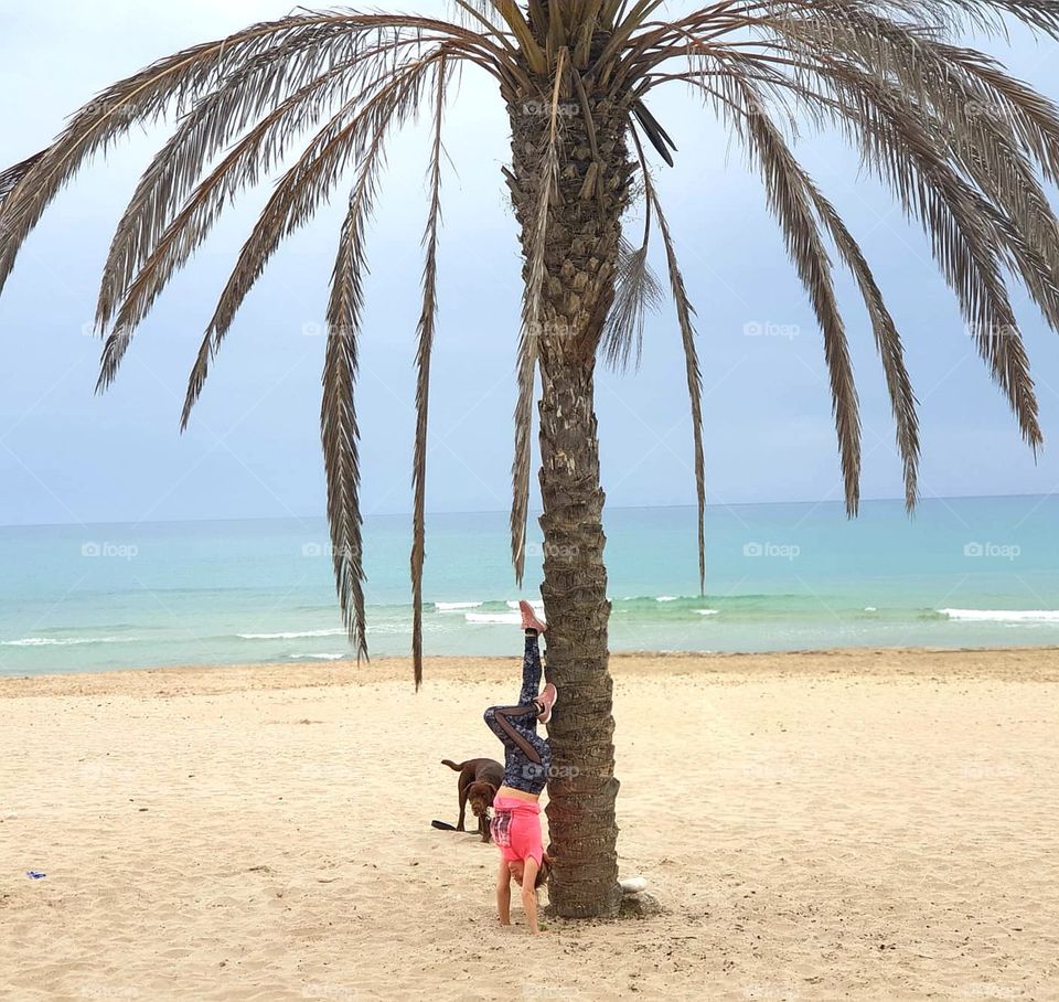 Yoga#training#concentrated#body#posture#human#exercise#beach#palm