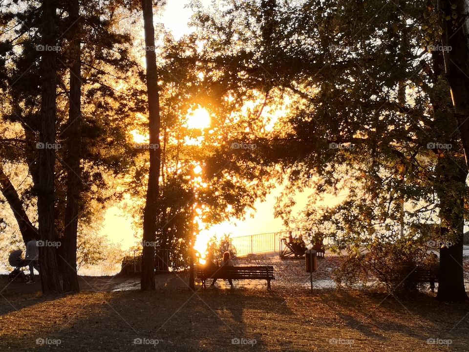 Sonnenuntergang am Tegeler See