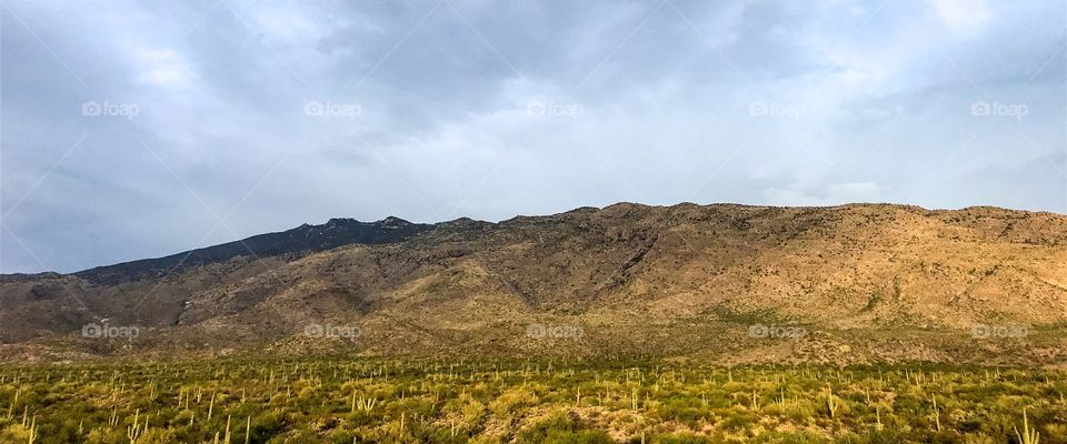 Panorama Nature Landscape 