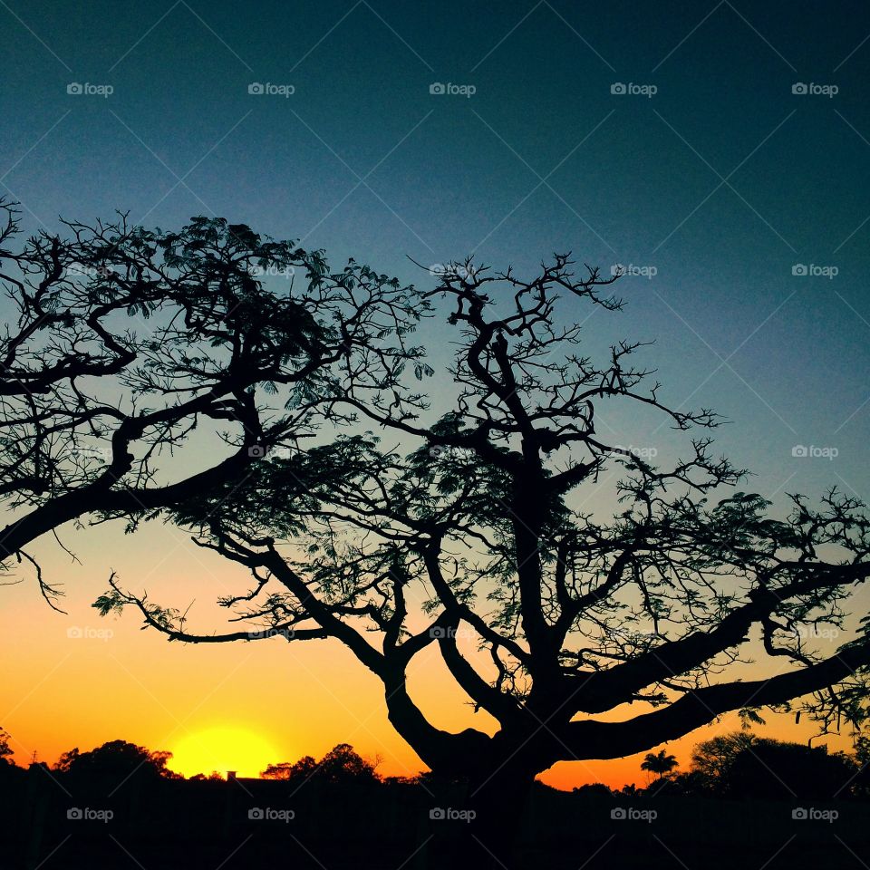 FOAP MISSIONS - 🌄🇺🇸 An extremely beautiful dawn in Jundiaí, interior of Brazil. Cheer the nature! / 🇧🇷 Um amanhecer extremamente bonito em Jundiaí, interior do Brasil. Viva a natureza!