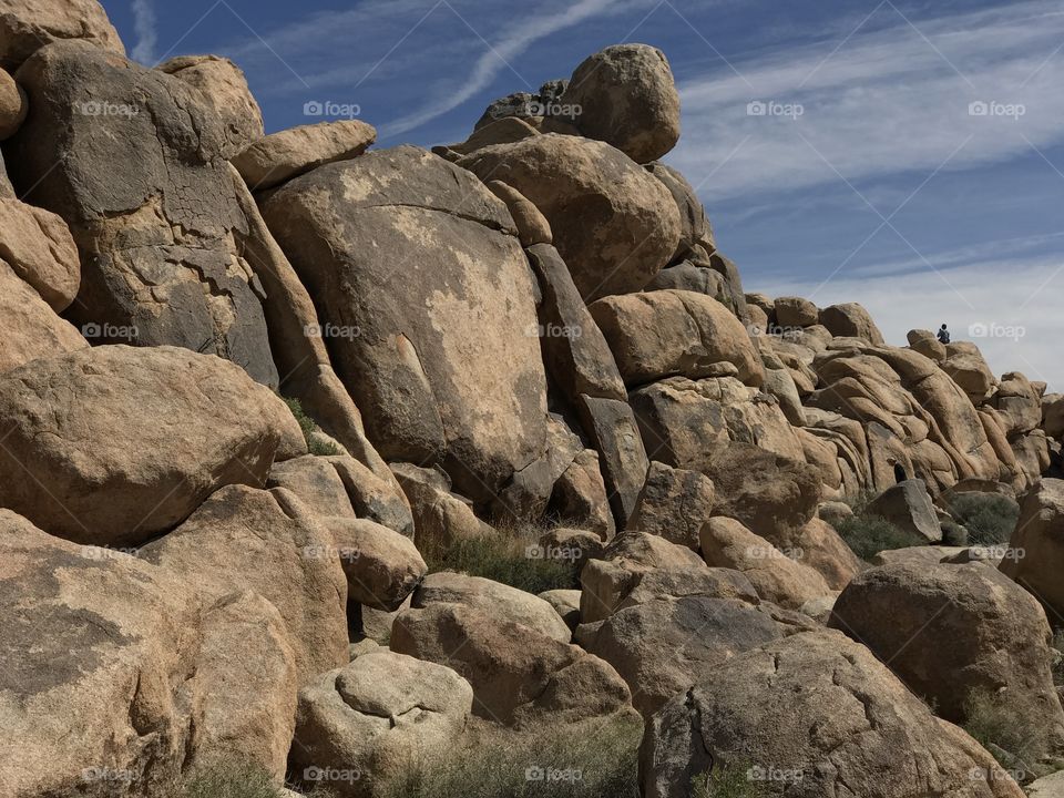 Joshua Tree National Park