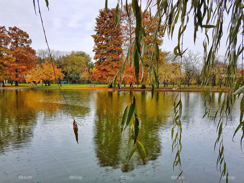 Lake reflections