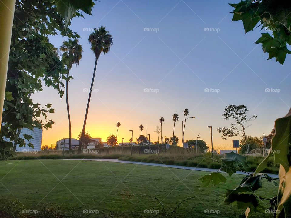 Pacific Ocean Beach at Dawn