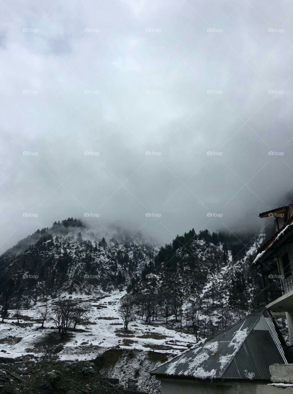 Mountain covered with snow. Sonamarg|India