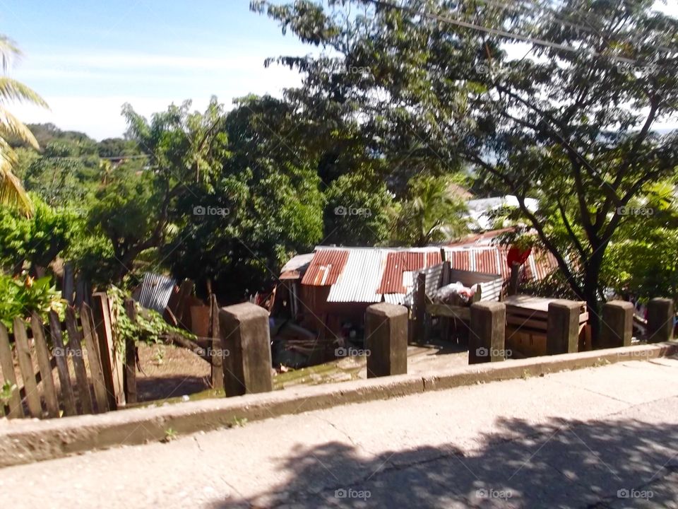 Photo from moving car traveling in Roatan, Honduras