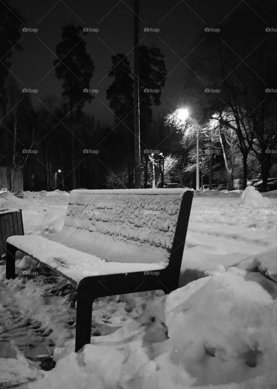 A bench covered in snow