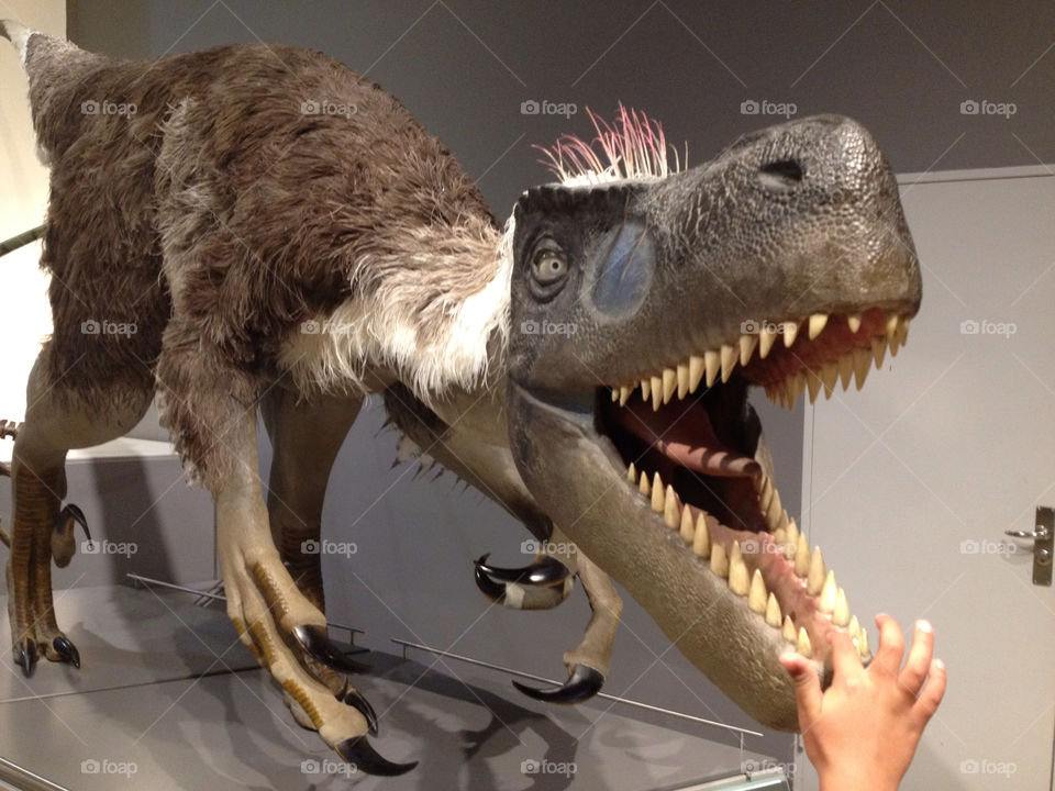 teeth museum dinosaur denmark by lorimar