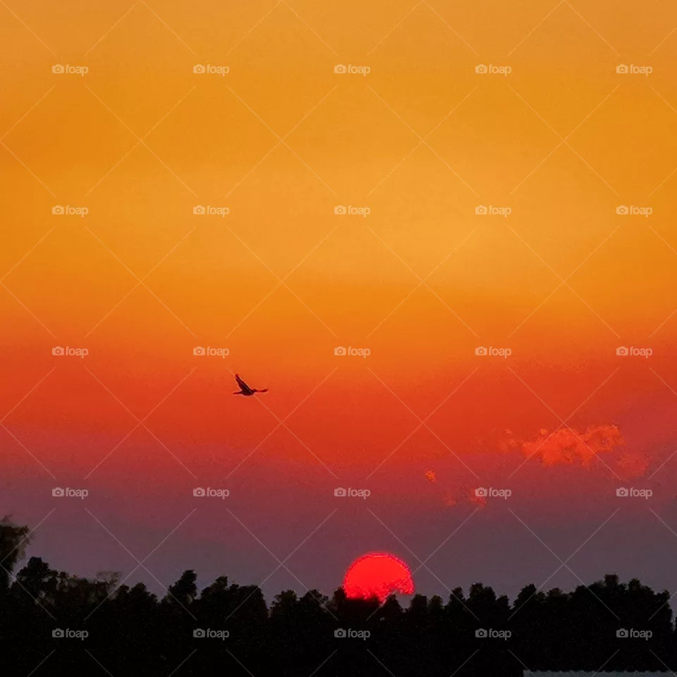 Sunset