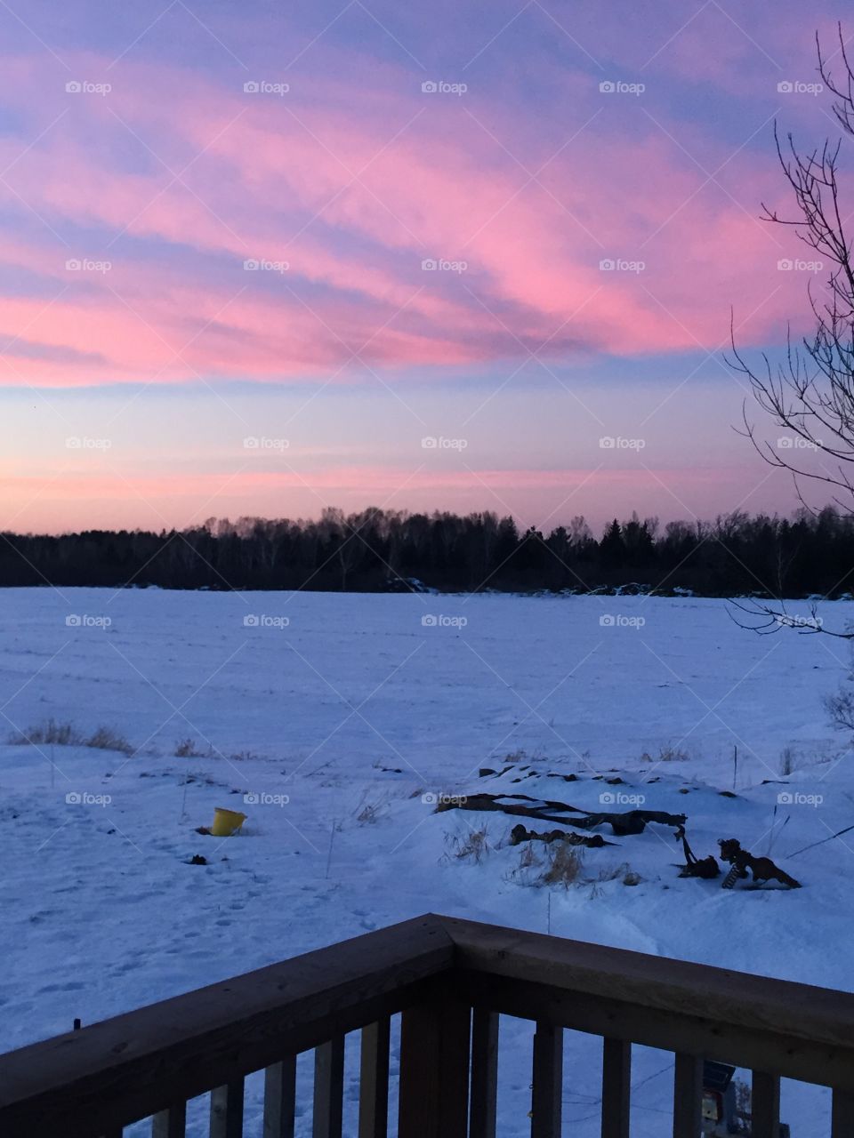 As evening falls Upon us the sky is laying a beautiful pink blanket over the newly fallen snow Tucking it in for the evening to Await a new dawn.